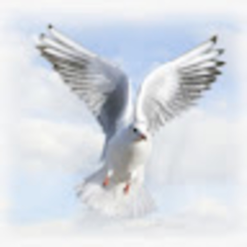 Meet your Posher, Riche